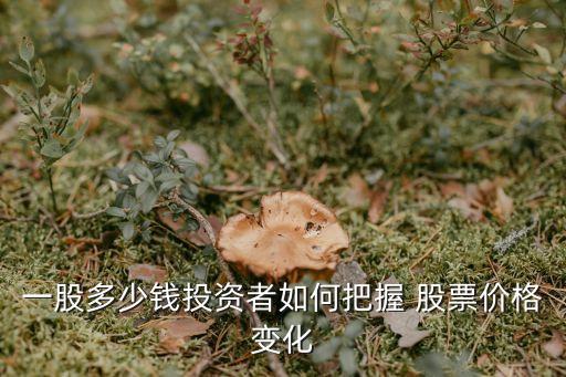 一支股票多少錢,買一支股票最低多少錢