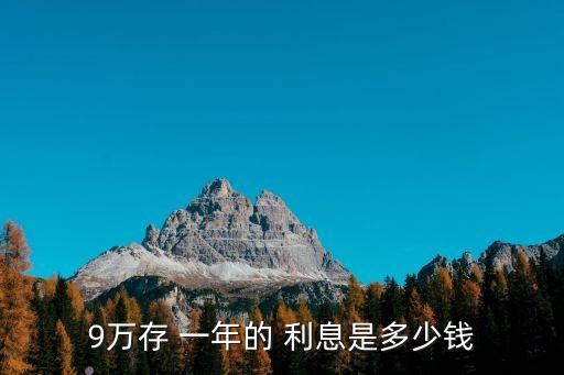 9萬存 一年的 利息是多少錢