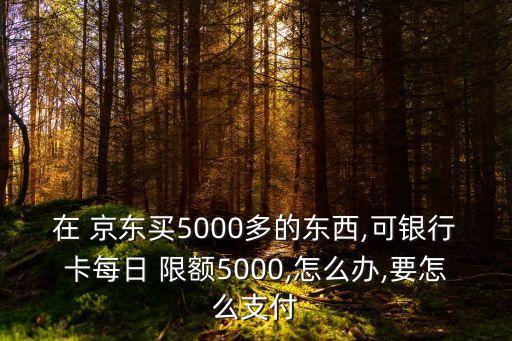 京東每天限額多少,京東未成年限額多少