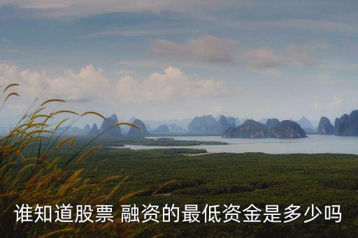 誰(shuí)知道股票 融資的最低資金是多少嗎