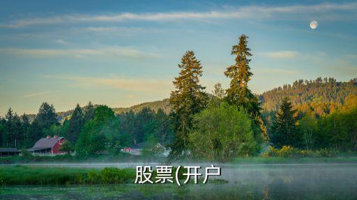 股票(開(kāi)戶