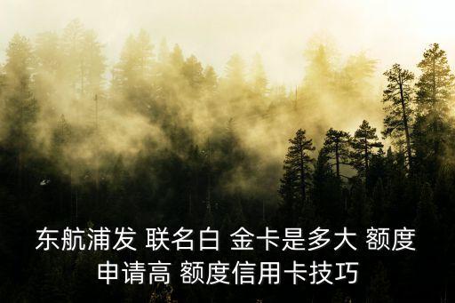 東航浦發(fā) 聯(lián)名白 金卡是多大 額度申請(qǐng)高 額度信用卡技巧