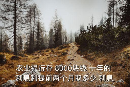 農(nóng)業(yè)銀行存 8000塊錢 一年的 利息利提前兩個月取多少 利息