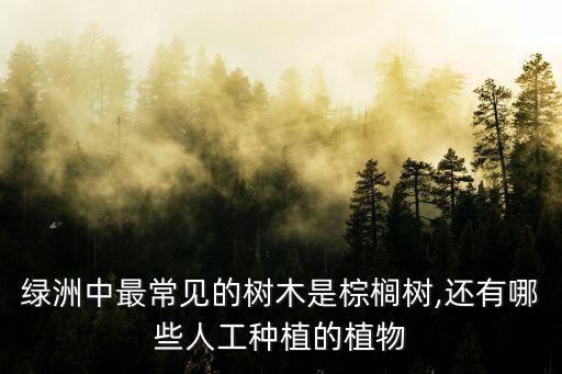 綠洲中最常見的樹木是棕櫚樹,還有哪些人工種植的植物