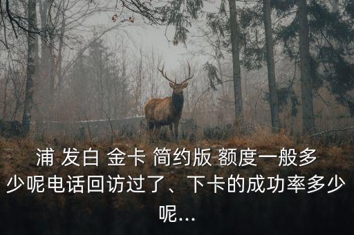 浦 發(fā)白 金卡 簡(jiǎn)約版 額度一般多少呢電話回訪過(guò)了、下卡的成功率多少呢...