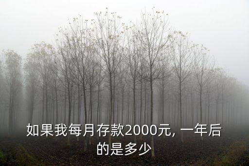 如果我每月存款2000元, 一年后的是多少