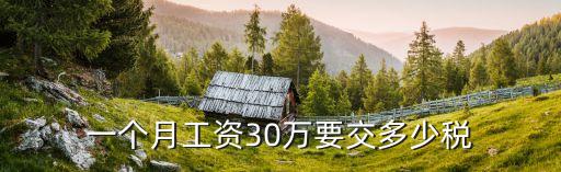 年薪30萬(wàn)個(gè)稅多少,16萬(wàn)年薪稅后多少