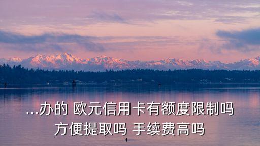 ...辦的 歐元信用卡有額度限制嗎方便提取嗎 手續(xù)費高嗎