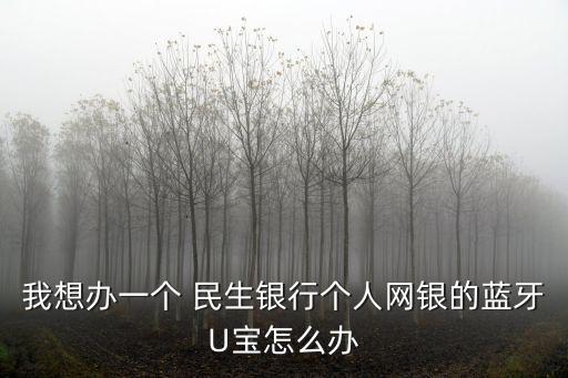 民生銀行u寶多少錢,山東省民生銀行貳角多少錢