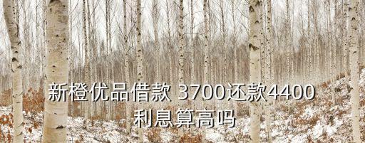 新橙優(yōu)品借款 3700還款4400 利息算高嗎