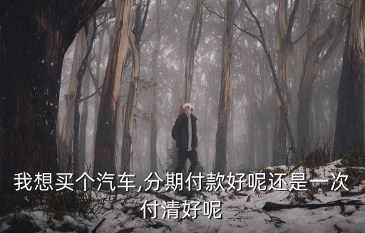 分期買車要比一次數(shù)清多花多少錢