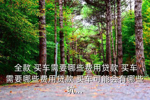 買車全款手續(xù)費多少,全款買車是不是不用給手續(xù)費