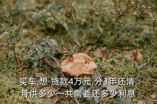 4萬左右的車貸款多少,40萬左右的suv推薦有什么車好