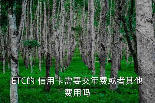 ETC的 信用卡需要交年費或者其他費用嗎