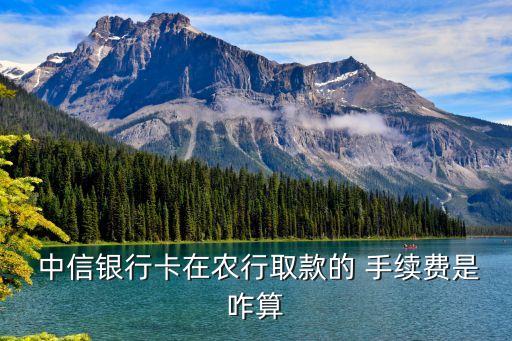 中信儲(chǔ)蓄卡手續(xù)費(fèi)多少錢,辦理儲(chǔ)蓄卡要多少錢手續(xù)費(fèi)