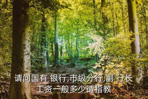 銀行副行長年薪一般多少,縣級銀行副行長年薪