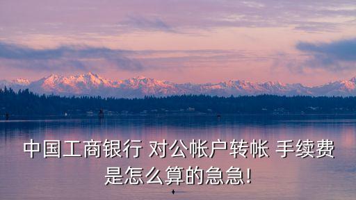 中國工商銀行 對公帳戶轉(zhuǎn)帳 手續(xù)費是怎么算的急急!