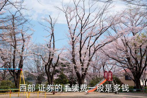  西部 證券的手續(xù)費(fèi)一股是多錢(qián)