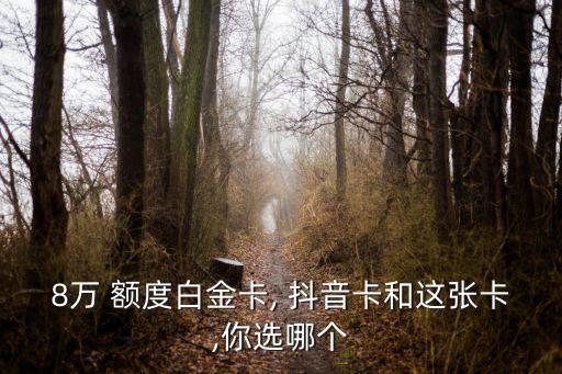 光大抖音卡有多少額度