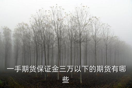 一手期貨保證金三萬以下的期貨有哪些