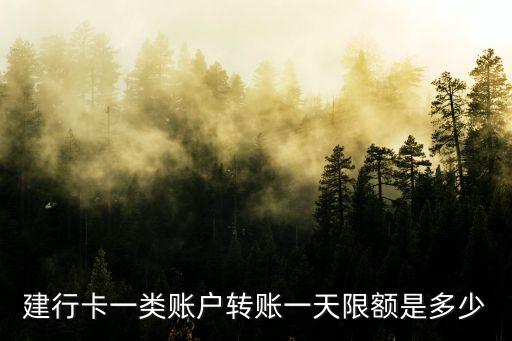 建行卡一類賬戶轉(zhuǎn)賬一天限額是多少