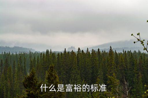 收入多少算富人,年收入200萬算富人嗎
