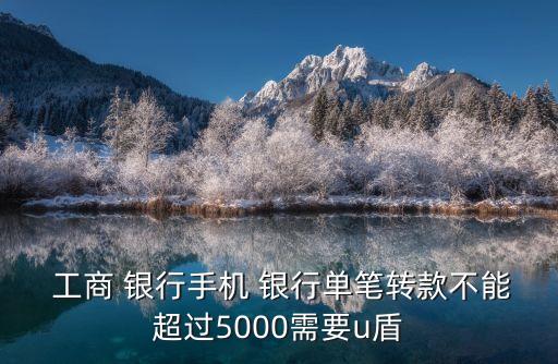  工商 銀行手機(jī) 銀行單筆轉(zhuǎn)款不能超過5000需要u盾