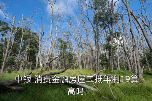  中銀 消費金融房屋二抵年利19算高嗎