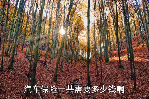 上車險(xiǎn)一般多少錢,上車錢和下車錢多少合適