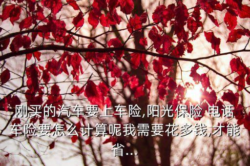 電話投保便宜多少錢,400電話最便宜多少錢