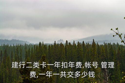  建行二類卡一年扣年費,帳號 管理費,一年一共交多少錢