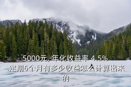 年利率4.5換成七日年化收益是多少錢