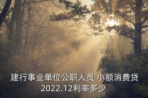  建行事業(yè)單位公職人員 小額消費貸2022.12利率多少