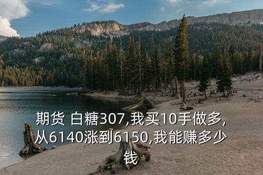 期貨 白糖307,我買10手做多,從6140漲到6150,我能賺多少錢