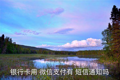 微信充值多少有短信提醒,微信一次性能充值多少錢