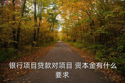 銀行的資本金是多少,銀行資本金補(bǔ)充四種方式