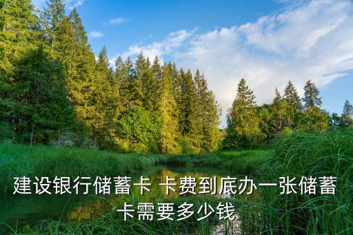 中國建設銀行卡費多少錢,辦中國建設銀行卡要多少錢