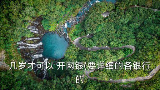 開網(wǎng)銀要多少歲,企業(yè)開網(wǎng)銀多少錢