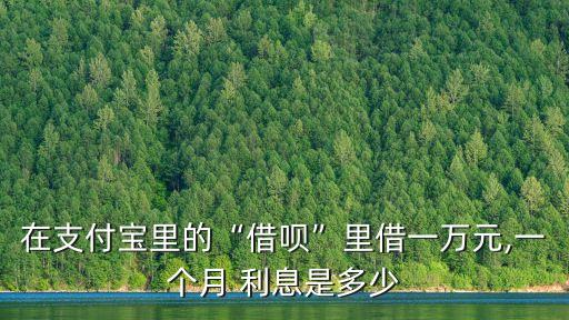 在支付寶里的“借唄”里借一萬元,一個月 利息是多少