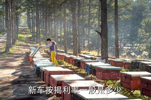 新車按揭利率一般是多少