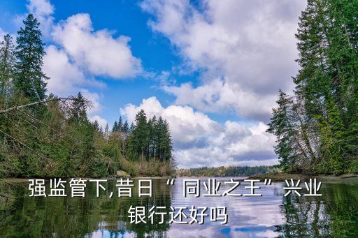 銀行同業(yè)部收入多少,銀行做同業(yè)的收入