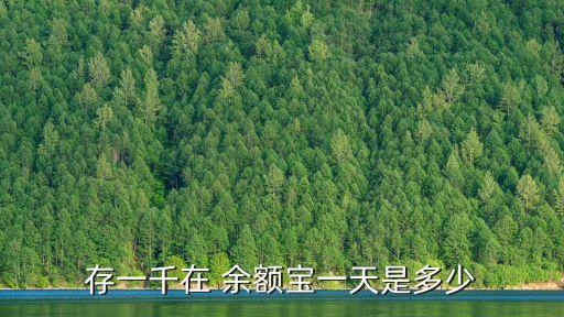 存一千在 余額寶一天是多少