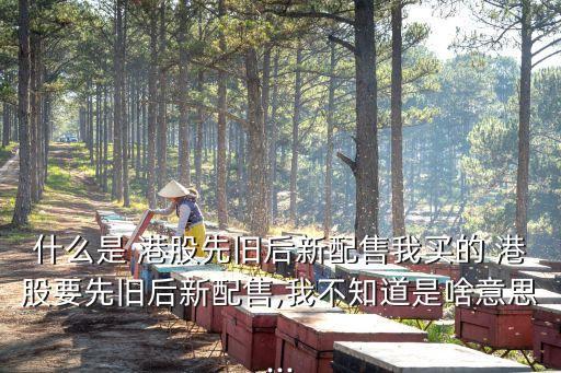 什么是 港股先舊后新配售我買的 港股要先舊后新配售,我不知道是啥意思...