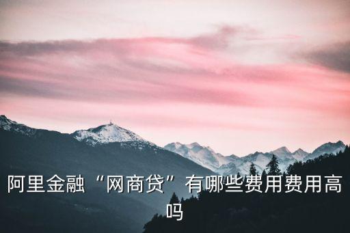 阿里金融“網(wǎng)商貸”有哪些費用費用高嗎