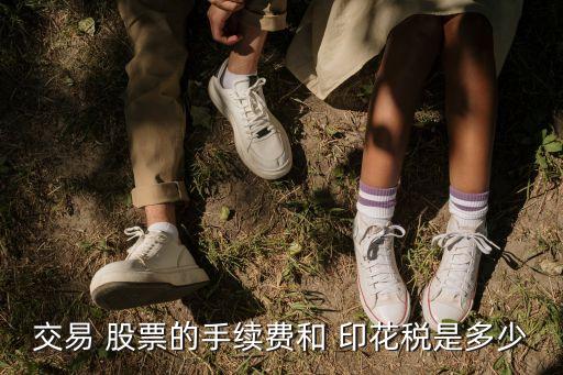 交易 股票的手續(xù)費和 印花稅是多少