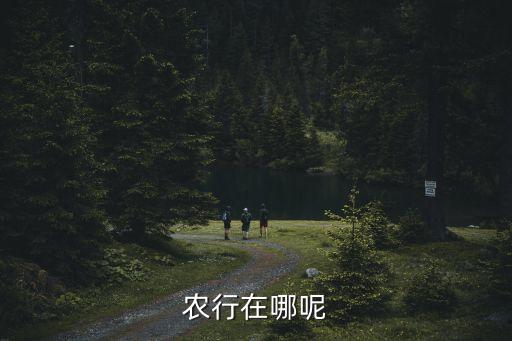 昆明農(nóng)業(yè)銀行支行地址電話是多少,農(nóng)業(yè)銀行昆明永安路支行