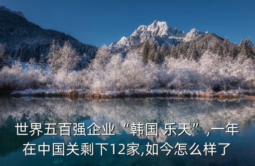 世界五百強(qiáng)企業(yè)“韓國 樂天”,一年在中國關(guān)剩下12家,如今怎么樣了
