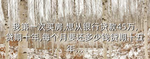 商貸45萬月供多少錢