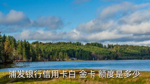 浦發(fā)銀行信用卡白 金卡 額度是多少