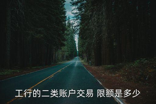 工行的二類(lèi)賬戶(hù)交易 限額是多少